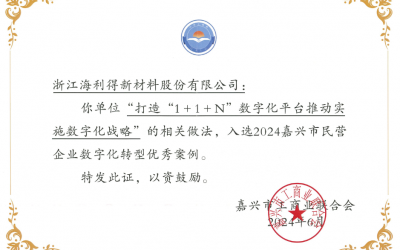 公司入选2024黄冈市民营企业数字化转型优良案例